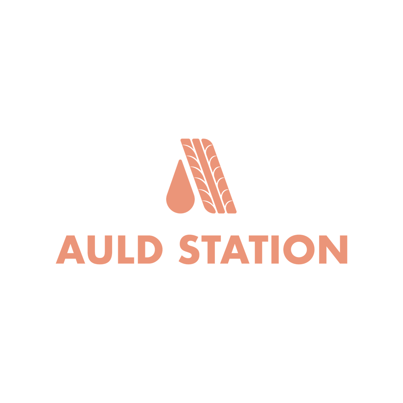 The Auld Station